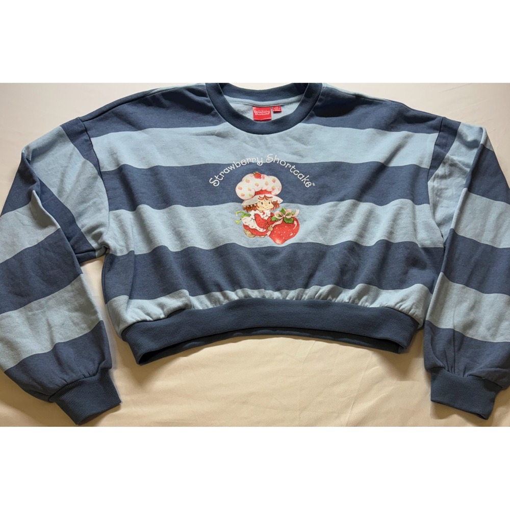 Strawberry Shortcake Striped Cropped Pullover Women Large Blue Graphic